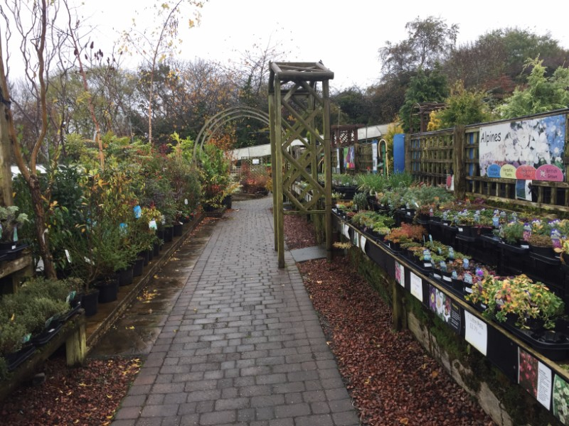 Tyne Valley garden centre near Gateshead