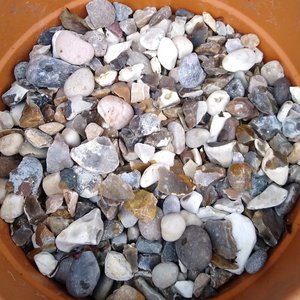Moonstone Chippings 20mm - image 2