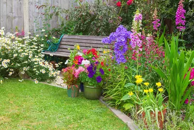 15 garden tips for June