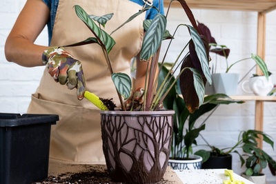 Make your house extra cosy for Autumn