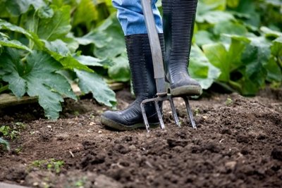 National Allotment Week