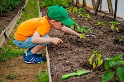 Top plants for children to grow