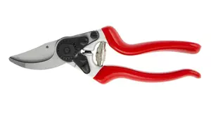 Expert Bypass Pruner