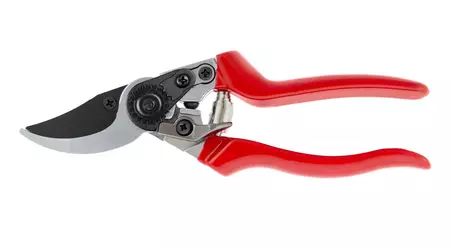 Professional Pruner