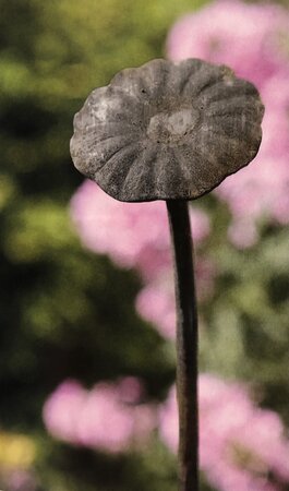 Rusty Gerbera Plant Stake Large