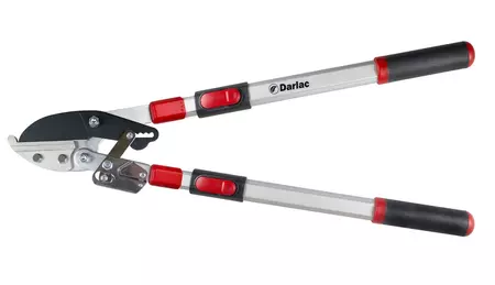 Telescopic Ratchet Lopper