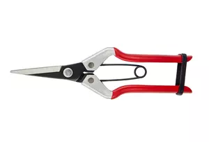 Vine Scissor