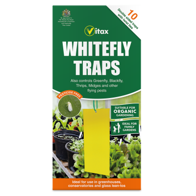 Whitefly Traps