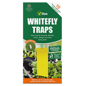 Whitefly Traps