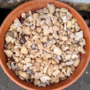 Yorkshire Cream Chippings 15-30mm - image 2